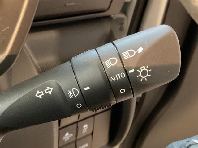 Toyota Raize image